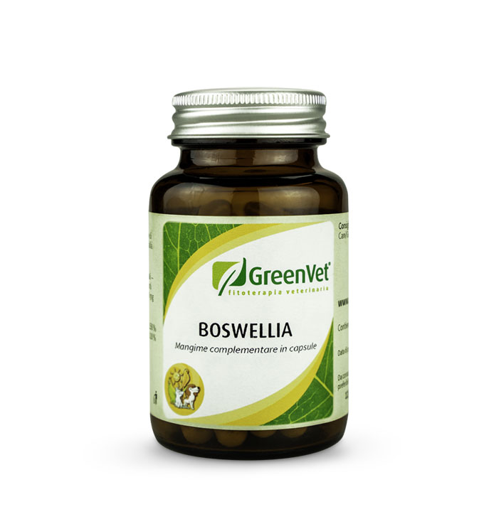 greenvet-boswellia-60cps-low