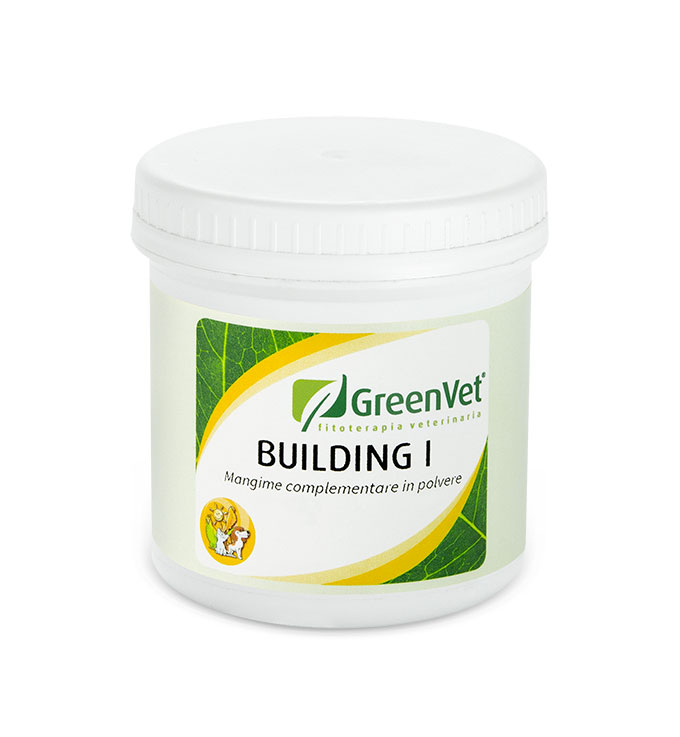 greenvet-building-1-50g-low