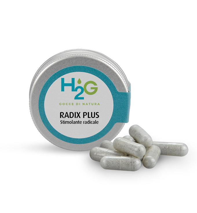 h2g-radix-plus-20cps-low