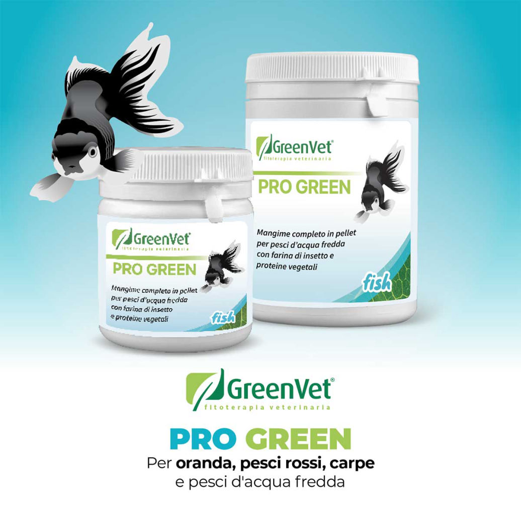 greenvet pro green mangime naturale per pesci d'acqua fredda