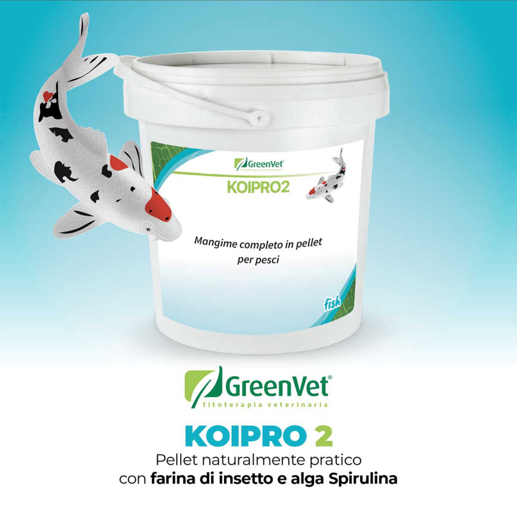 greenvet koipro 2 mangime naturale in pellet per koi