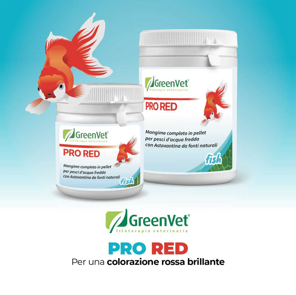 greenvet pro red mangime naturale per pesci d'acqua fredda